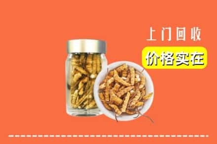 收购资讯:吉阳区回收散虫草
