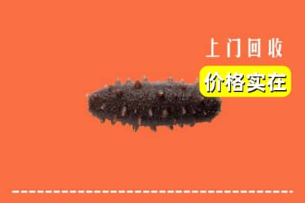 收购资讯:吉阳区回收海参